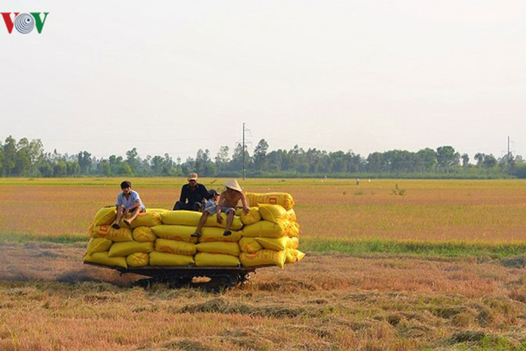 Người dân có thể lãi trên 2 triệu đồng mỗi xe công.