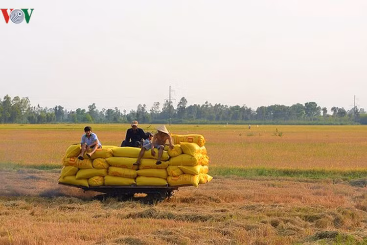 Người dân có thể lãi trên 2 triệu đồng mỗi xe công.