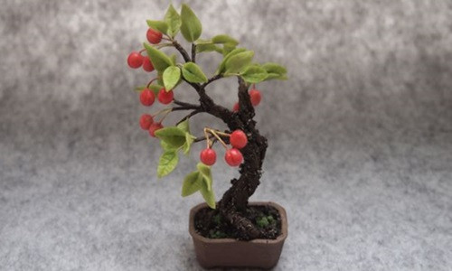  Cherry bonsai siêu nhỏ thích hợp với để bàn. Ảnh: Censor This.