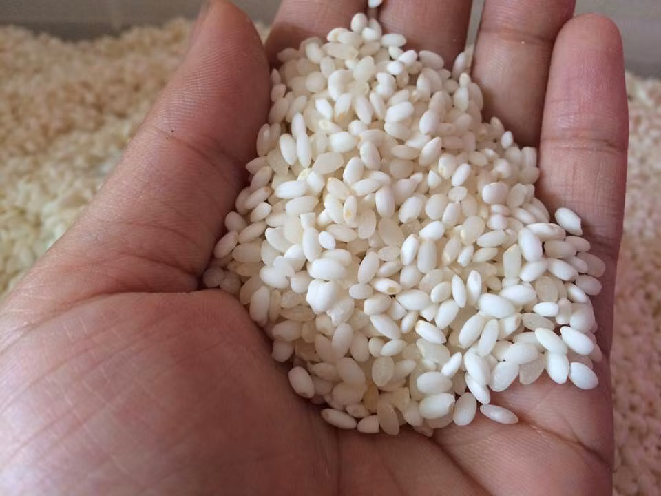 Trong khi đó, loại gạo nếp Lào dạng hạt tròn đắt hơn, từ 35.000 - 50.000 đồng/kg. Ảnh: FB Nguyễn Phương Loan.