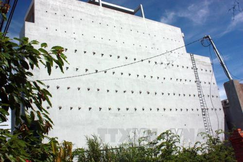 Phong trào nuôi chim yến trong nhà nở rộ do giá trị kinh tế của tổ yến cao trong khi sản phẩm này trong tự nhiên ngày càng hiếm. Ảnh: TTXVN.