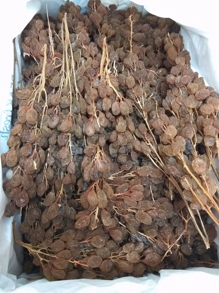 Khác với phương pháp sấy công nghiệp, nho được sấy bằng ánh nắng mặt trời có vị ngọt dịu, độ khô vừa phải. Ảnh: FB Trang Thu Dinh.