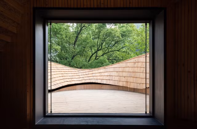 Từ phòng trà, gia chủ có thể ngắm cây cổ thụ trong rừng.