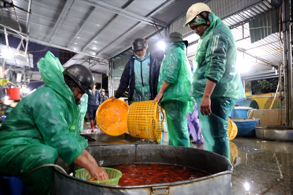 Tại chợ cá Yên Sở, cá được bán sỉ cho các tiểu thương chứ không bán lẻ.