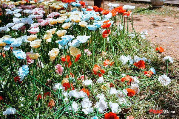 Chị Nguyễn Thanh Hà (37 tuổi, ngụ Q.12, TP. HCM) cho biết: “Chị đến đây vui chơi ngày Tết vì Thảo Cầm Viên khá rộng rãi, thoáng mát và nhiều động vật hoang dã cho các cháu tìm hiểu”.