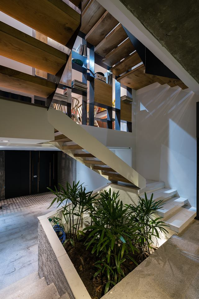 Bồn cây nhỏ tận dụng chỗ trống dưới cầu thang.