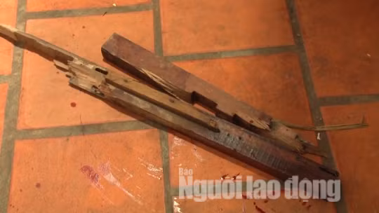 Nghich tu sat hai cha me ruot khai gi?-Hinh-2