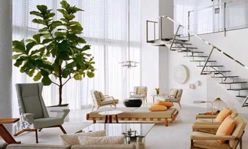 Thiên nhiên trở thành một yếu tố được đặc biệt quan tâm trong các xu hướng trang trí nhà hiện đại.