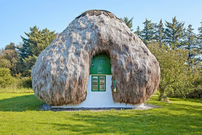 Lớp rong biển trải dài từ mái đến gần mặt đất.