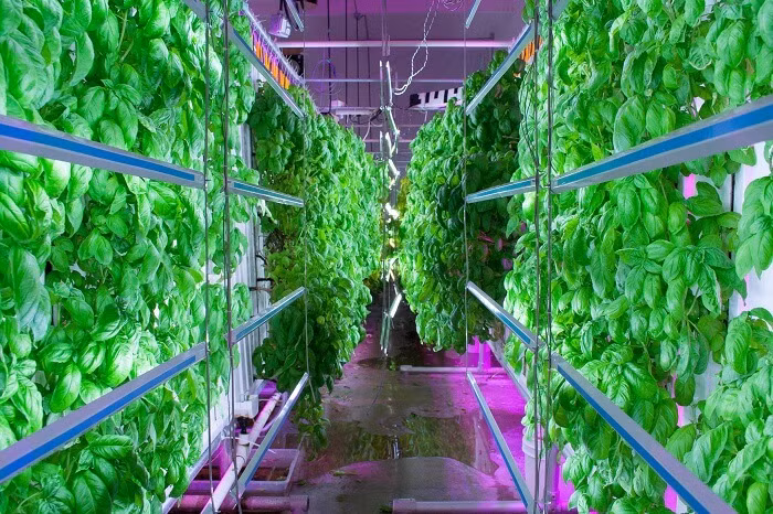 Dự án sẽ khởi công xây dựng vào tháng 11/2018 và hoàn thành trong thời gian 1 năm.