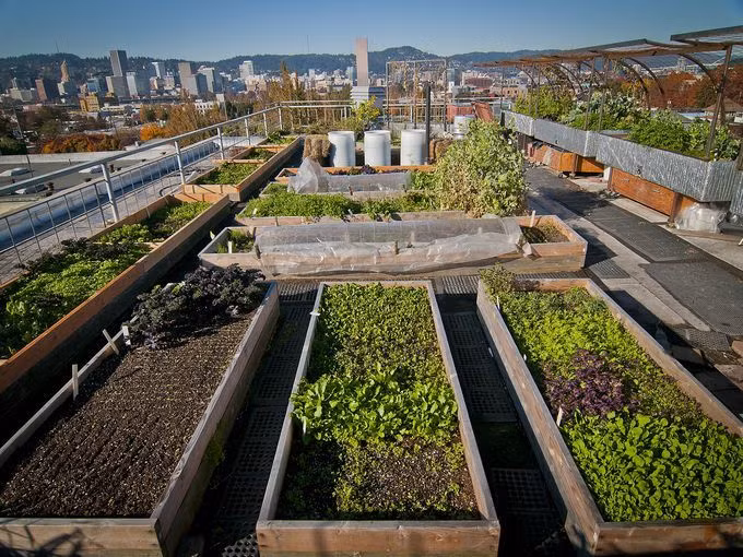 Đây cũng là siêu thị đầu tiên trên thế giới có mô hình kinh doanh này. Ảnh: IntoTheMinds.