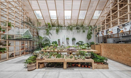 Tọa lạc trên ngõ 298, Tây Sơn (Đống Đa, Hà Nội), quán cà phê Tropical Forest giống như một khu vườn nhỏ dành cho những người yêu thiên nhiên.