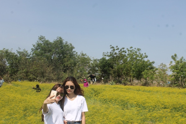 Ban đầu chủ vườn hoa (gia đình ông Trần Chiến) chỉ trồng để lấy hạt. Tuy nhiên, thấy hoa nở đẹp và có mùi thơm đặc trưng nên gia đình mở cửa đón khách đến tham quan. Ảnh: Dân Việt.