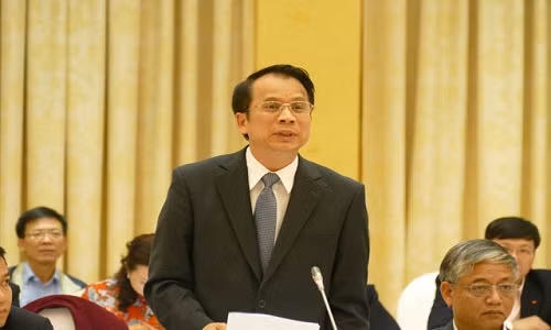 Thứ trưởng Phạm Mạnh Hùng cho biết trường hợp khiếu nại chức danh giáo sư của Bộ trưởng Nguyễn Thị Kim Tiến sẽ được giải quyết theo pháp luật khiếu nại, tố cáo - Ảnh: Lê Kiên