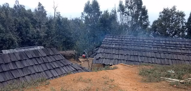 Mặc dù đều là hộ nghèo nhưng các hộ dân đều làm nhà bằng gỗ quý pơ mu. Ảnh: Dân Việt.