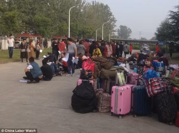 Phần lớn nhân viên của Catcher đến từ nhiều vùng đất khác nhau.