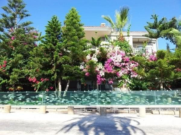 Vốn dĩ, căn biệt thự nguy nga của vị đại gia này được bao quanh bằng một lớp tường gạch xi măng kiên cố. Nhưng sau đó, ông đã phá bỏ lớp tường và thay vào đó là một bể thủy cung siêu dài. Trong bể có hơn 1.000 con cá tung tăng bơi lội mỗi ngày.