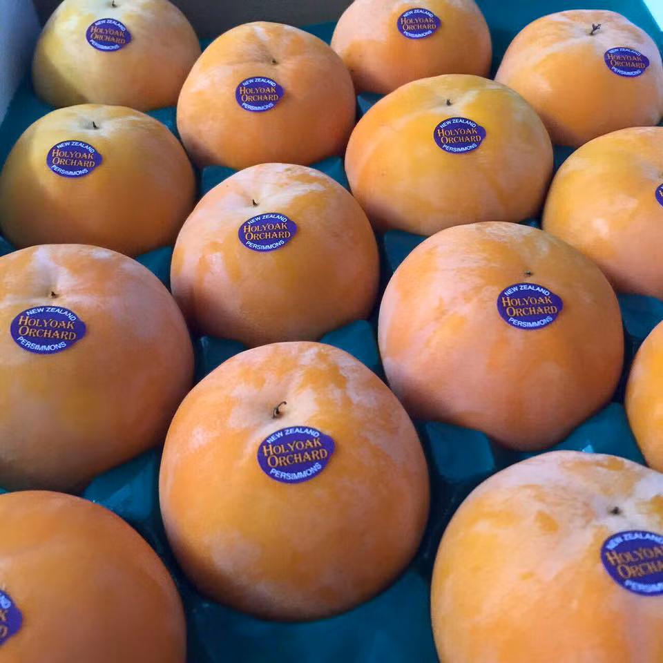 Hồng New Zealand có từ cuối tháng 4 đến cuối tháng 6, trái vụ với hồng giòn Việt Nam nên khá được ưa chuộng. Giá của các loại hồng giòn này dao động từ 200.000 -500.000 đồng/kg. Ảnh: VinFruits.