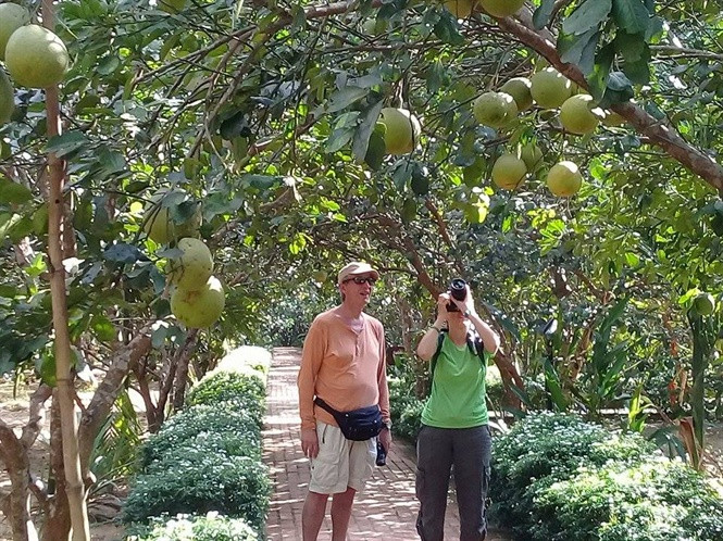 Thanh trà Thủy Biều ngọt nước, có vị thơm khác với nơi khác do đất đai màu mỡ, được bồi lấp phù sa của sông Hương. Ảnh: Trangtraiviet.