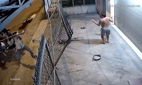 Một người dân ở Củ Chi bị đối tượng trộm chó cầm chĩa điện hù dọa khi phát hiện con chó trong nhà bị đối tượng này dùng điện chích chết - Ảnh cắt từ camera