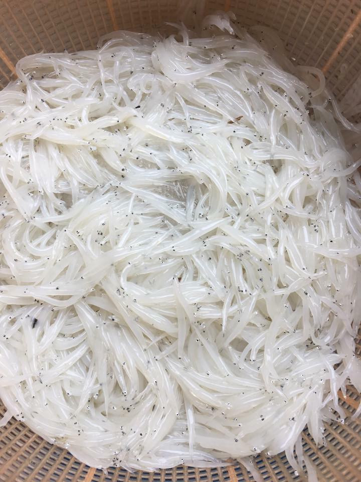 Số lượng cá không nhiều nên có khách phải đặt trước mới có hàng. Ảnh: FB Koi Hanh.