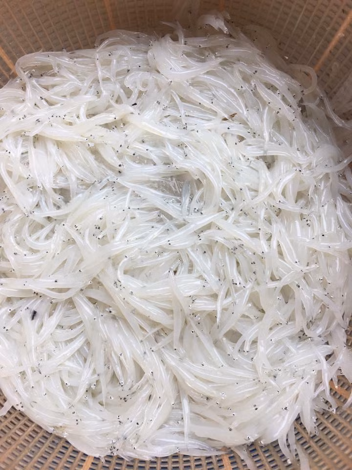 Số lượng cá không nhiều nên có khách phải đặt trước mới có hàng. Ảnh: FB Koi Hanh.