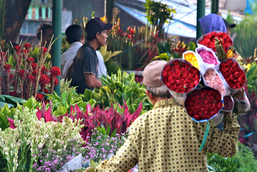 Chợ hoa Pasar Rawa Belong ở thủ đô Jakarta cũng là địa điểm thu hút nhiều du khách. Đây là trung tâm buôn bán các loại hoa và cây ở Jakarta. Ảnh: siswanto_p/ flickr.com.