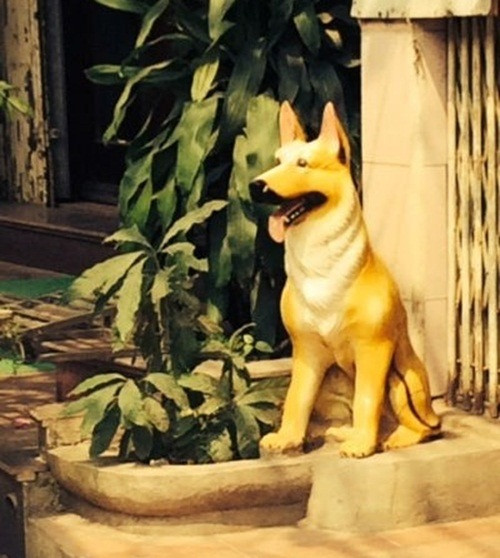 Vị trí đặt chó đá hợp lý nhất là gần cửa ra vào, đầu hướng ra ngoài, luôn ở tư thế ngồi. Ảnh: Infonet.