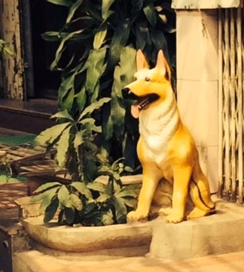 Vị trí đặt chó đá hợp lý nhất là gần cửa ra vào, đầu hướng ra ngoài, luôn ở tư thế ngồi. Ảnh: Infonet.