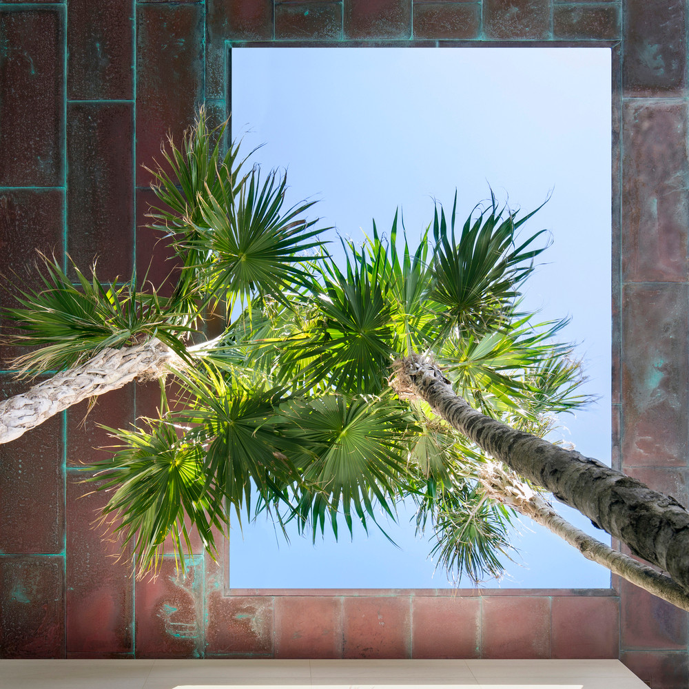 Cây xanh như một yếu tố không thể thiếu với một biệt thự hiện đại. Nguồn ảnh: Archdaily.