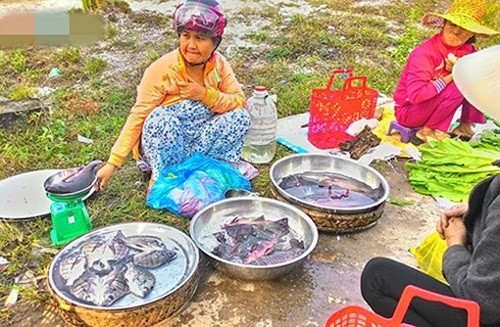 Rau, cá... cũng là mặt hàng phổ biến trong phiên chợ đặc biệt này. Ảnh: Vov.