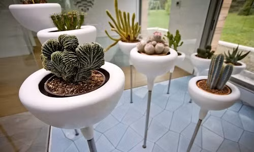 Chậu hoa mini phù hợp với bất cứ không gian trống nào trong nhà. Nguồn ảnh: Homify.