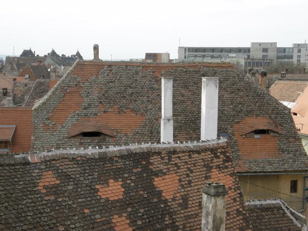 Trong thành phố còn có nhiều ngôi nhà cổ với mái ngói rêu phong.