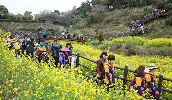 Đảo Jeju thu hút nhiều khách nhờ khí hậu ôn hòa và dịch vụ du lịch chuyên nghiệp. Ảnh: Travel.