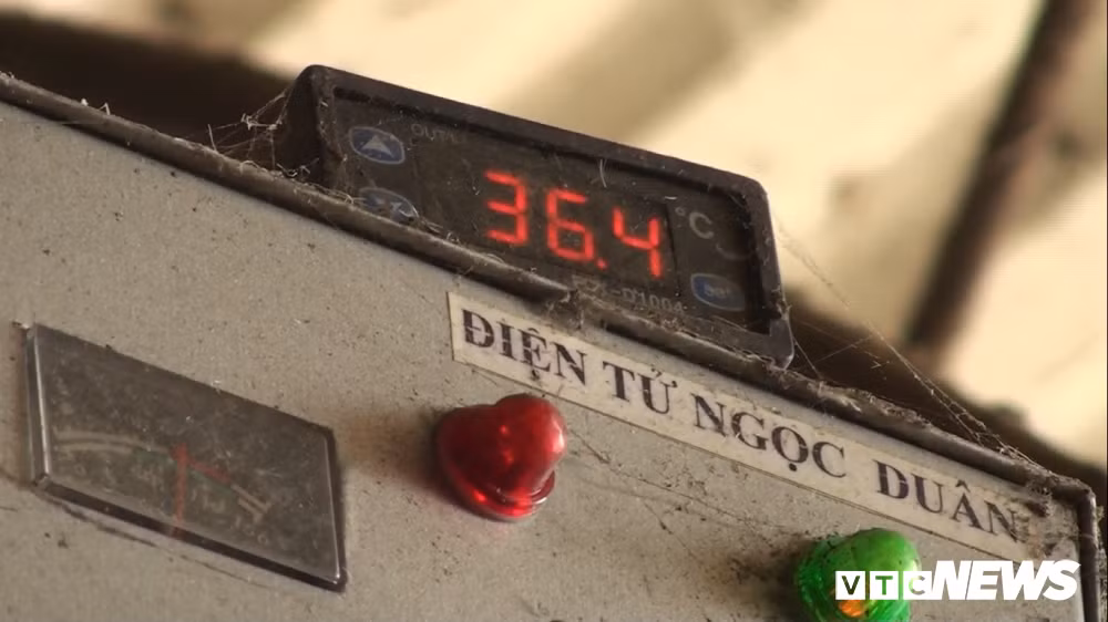 Trang trại nuôi ngỗng của anh Cường được đầu tư một hệ thống lò ấp được thiết kế đặc biệt, có thể đảo chiều cho trứng đúng nhiệt độ từ trên xuống dưới. Nhiệt độ ấp trứng thường phải giữ ở mức 36 độ C.