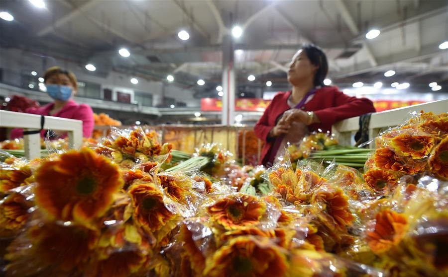 Theo một báo cáo, thị trường hoa tươi bán trực tuyến ở Trung Quốc đạt 1,95 tỷ USD năm 2017, và có thể đạt tới 7,9 tỷ USD vào năm 2021.