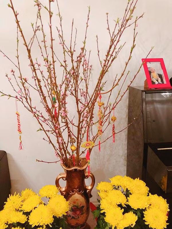 Không khí xuân tràn ngập căn nhà ấm cúng của nữ ca sĩ Thanh Thảo. Ảnh: FB.