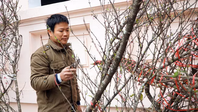 "Ngoài ra cũng còn tùy thuộc vào hoa, nụ trên cành và gặp được khách nữa. Có những khách biết chơi đào, họ nhìn cành nào họ ưng thì còn có giá, nếu gặp khách không biết chơi đào họ kì kèo thì mất giá, lãi chẳng được bao nhiêu", anh Thơ cho biết thêm.