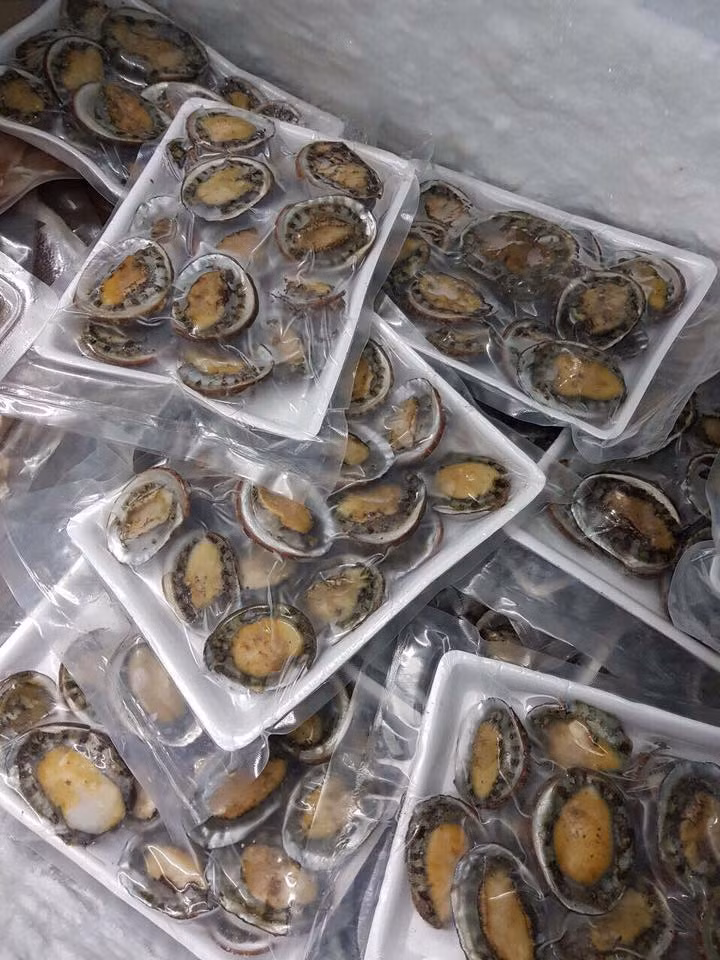 Trong khi đó, bào ngư sấy khô giá từ 6 triệu đồng/kg. Ảnh: Châu Ngọc Châu.