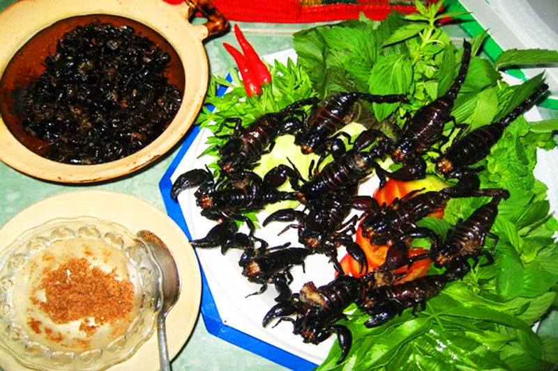 Bên cạnh đặc sản làm từ côn trùng, chợ còn bán nhiều mặt hàng khác như chăn, quần áo...Ảnh: Gody.