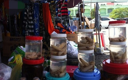 Không chỉ bán tươi sống, côn trùng tại đây còn được bán dưới hình thức ngâm rượu. Ảnh: VOV.