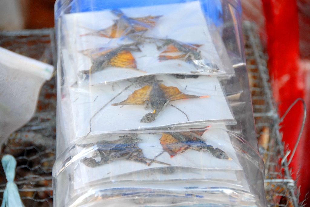 Tắc kè phơi khô, đóng gói cũng là một mặt hàng phổ biến ở chợ Tinh Biên. Ảnh: Zing.