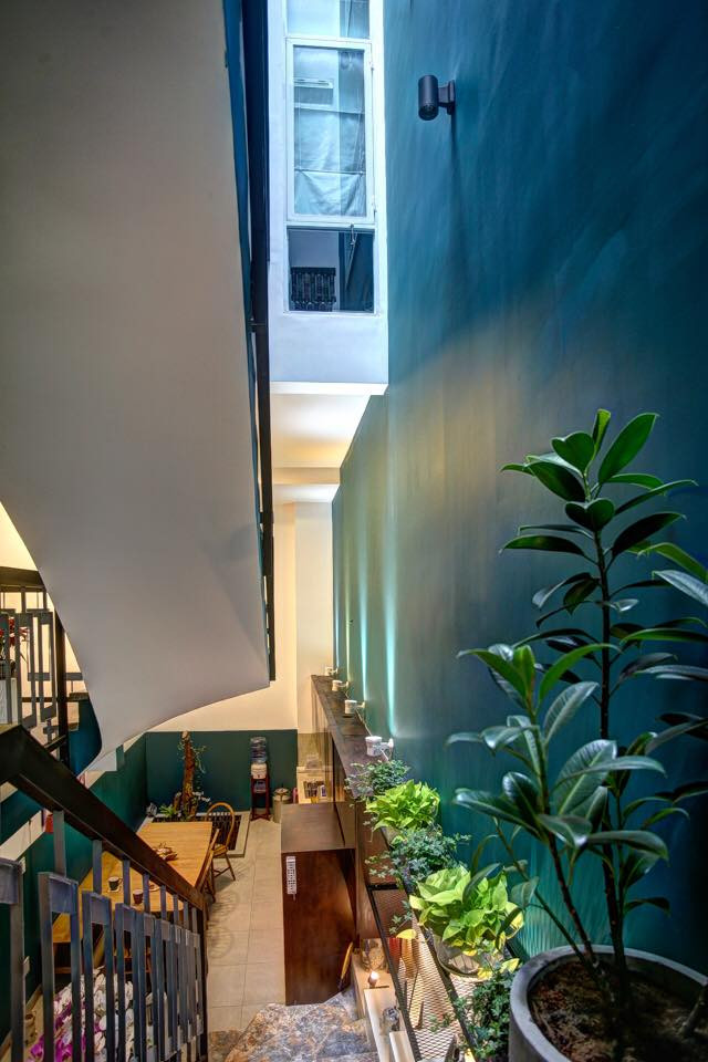 Bồn trồng cây được thiết kế ngay cạnh bếp ăn cho không khí thêm trong lành.