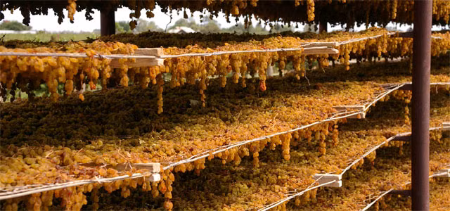 Sau khi thu hoạch, nho khô được vận chuyển về nhà máy để rửa sạch và đóng gói. Ảnh: Dried Fruits Australia.