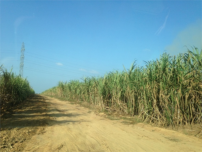 Năm 2012, bầu Đức gây chú ý dư luận khi quyết định để Hoàng Anh Gia Lai đầu tư vào Lào với 100 triệu USD khởi công xây dựng Cụm công nghiệp Mía đường Attapeu. Ảnh: VTC.