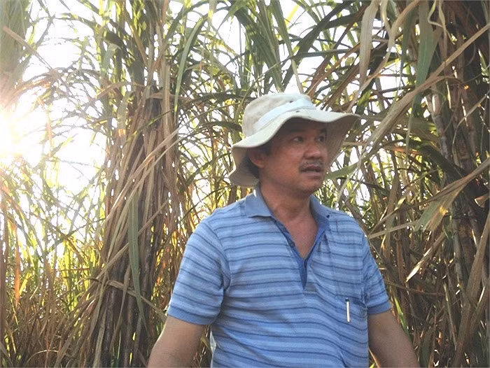 Sau nhiều thử nghiệm, bầu Đức chọn giống của Thái Lan. Ảnh: VTC.