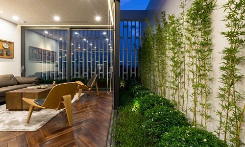 Bức tường khô cứng trở nên mềm mại nhờ hàng trúc xanh mướt mắt.