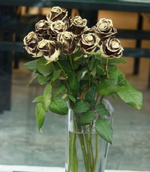 Bên cạnh đó, gần đây thị trường còn sôi động với hoa hồng phủ chocolate nhũ vàng. Ảnh: Infonet.