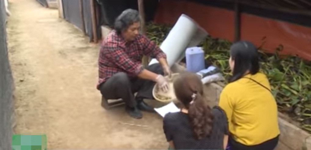 Trang trại nuôi giun quế khép kín của ông Khang mang về thu nhập trên 3 tỷ đồng/năm. Ảnh: VTC16.