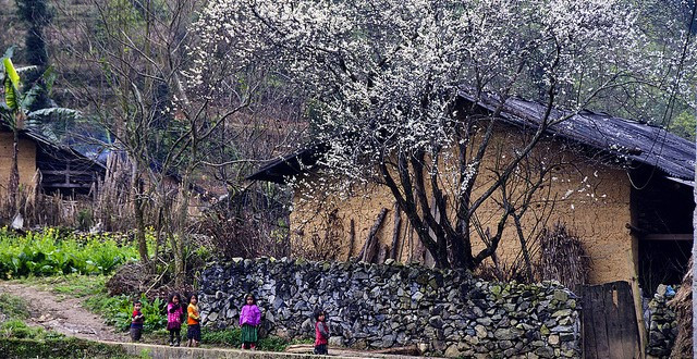 Chẳng cần gọt giũa hay chất kết dính nào, những viên đá nhọn hoắt, muôn hình vạn trạng vẫn tạo nên bức tường kiên cố. Ảnh: Baohagiang.